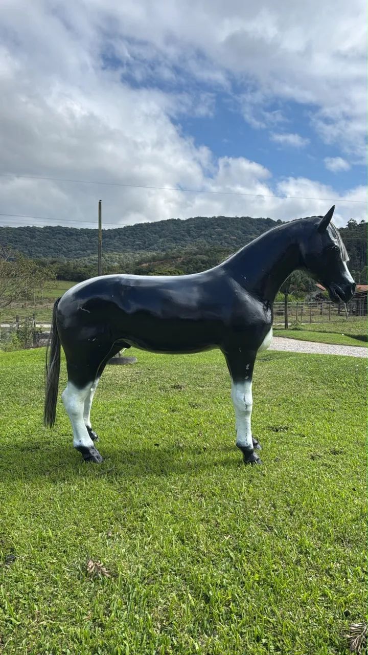 Cavalo de fibra  - Foto 3