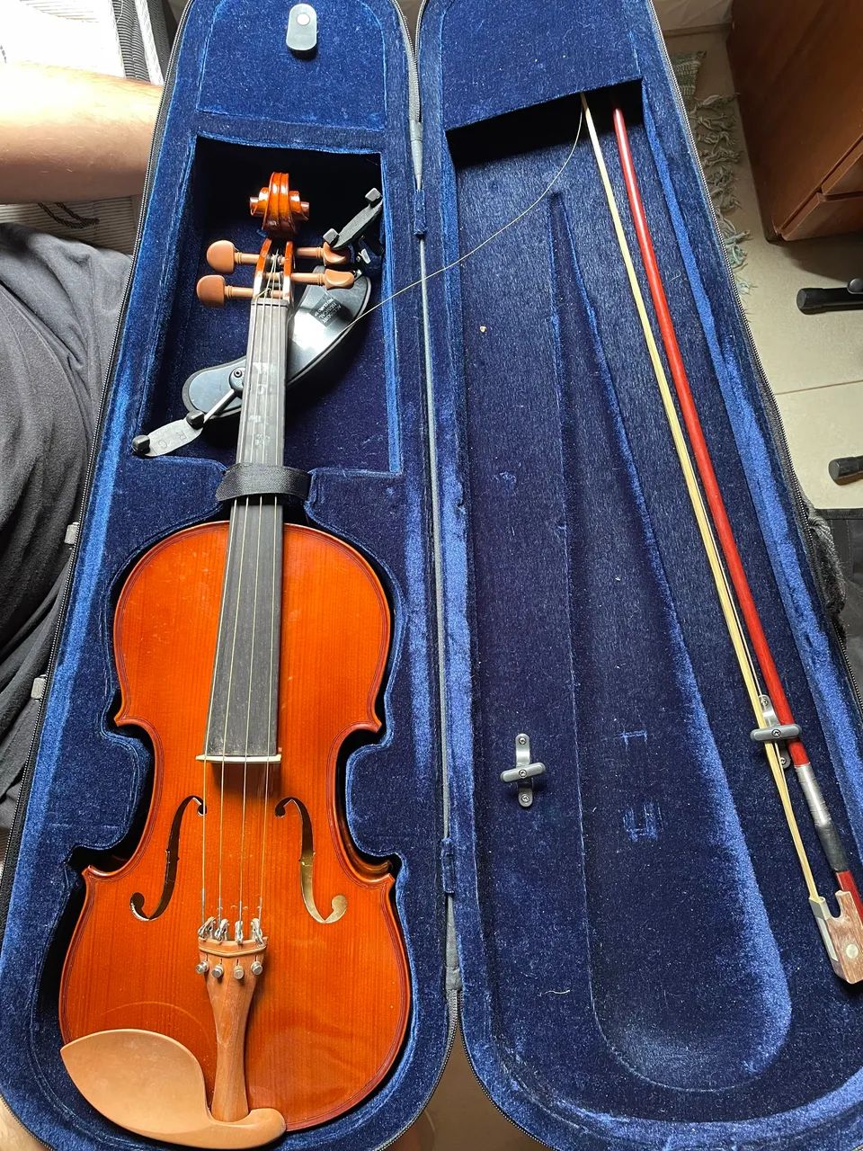Viola de Arco Eagle VA150