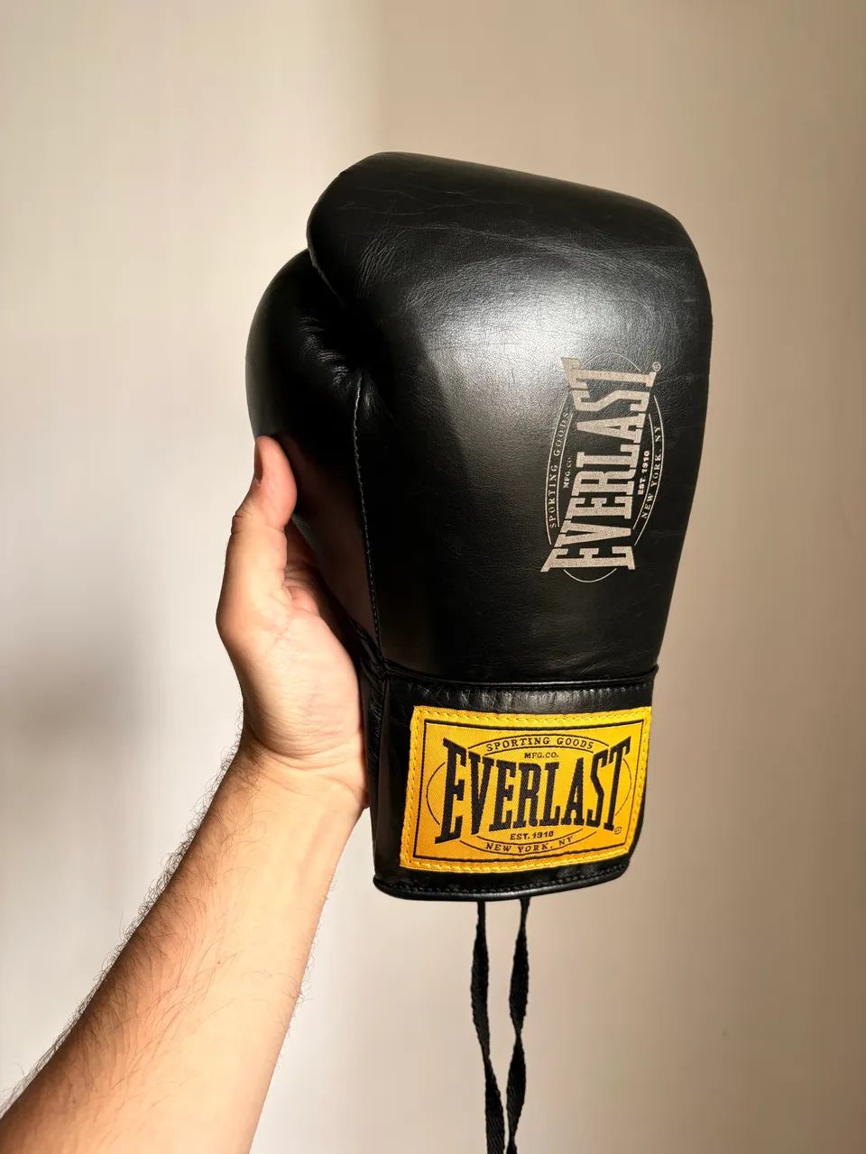 Luvas de Boxe Everlast 1910 Pro Leather Laced