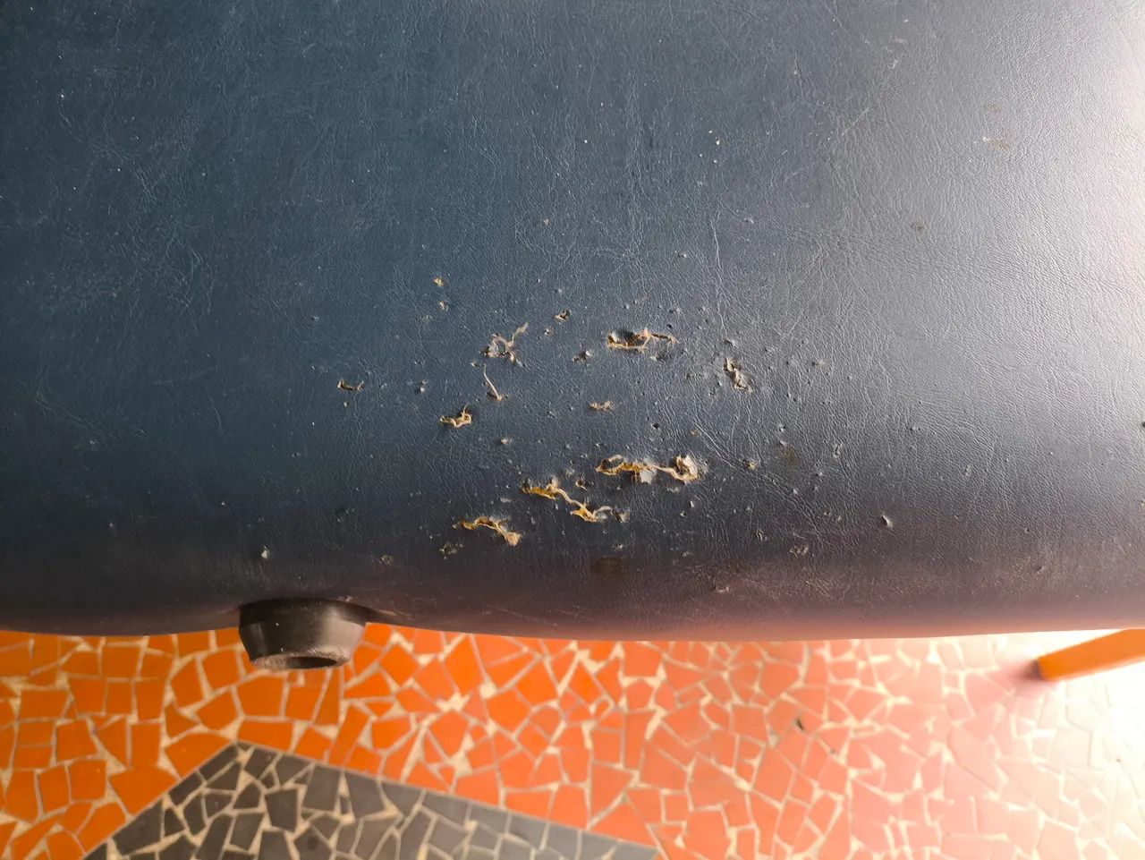 Maca de massagem e estética  - Foto 5