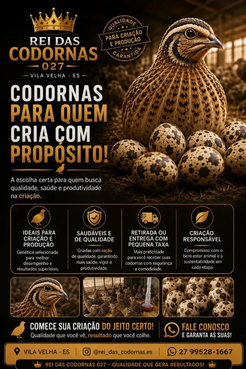 Codornas para criação e produção, com qualidade e procedência garantidas! ? - Foto 2