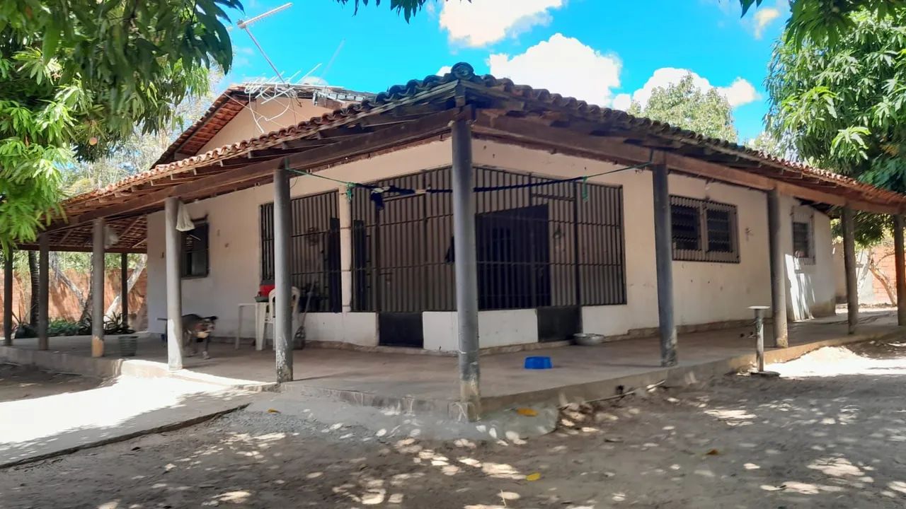 Vendo Sítio no Povoado Chapadinha Sul  - Foto 5