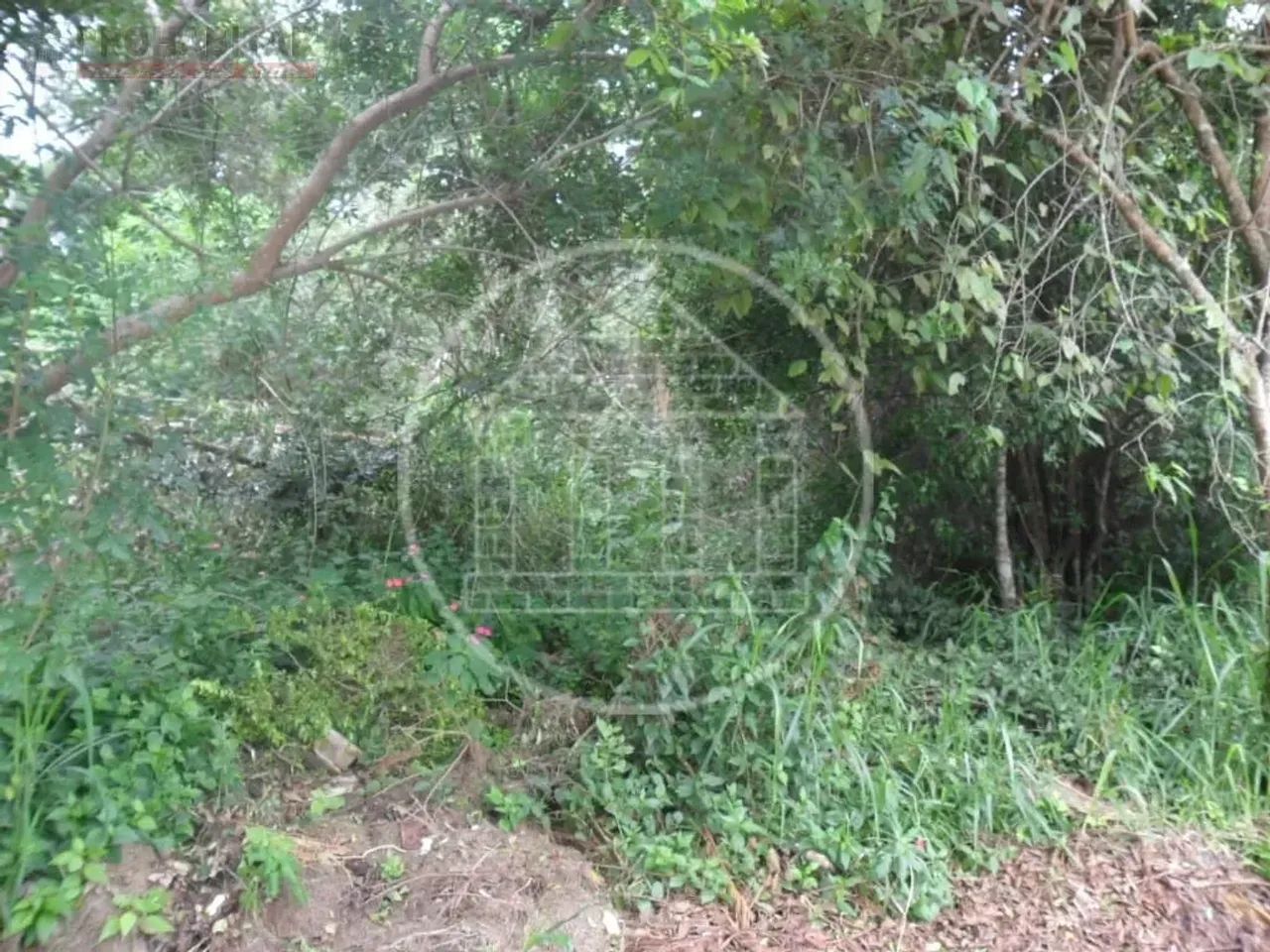 Terreno à venda no Parque do Terceiro Lago - Foto 2