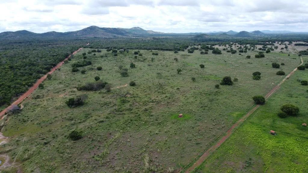 Fazenda para Venda em Aliança do Tocantins, 6 dormitórios - Foto 4