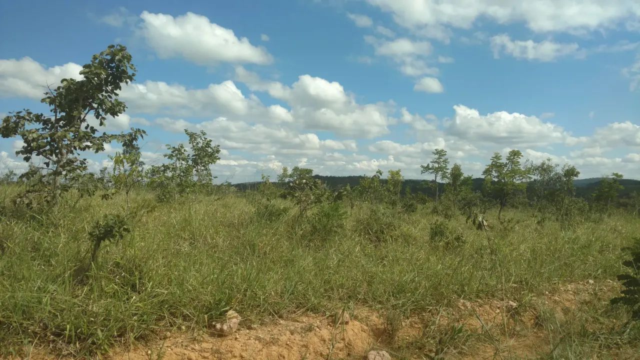 Fazendinha Cordisburgo 20.000m² - Foto 2