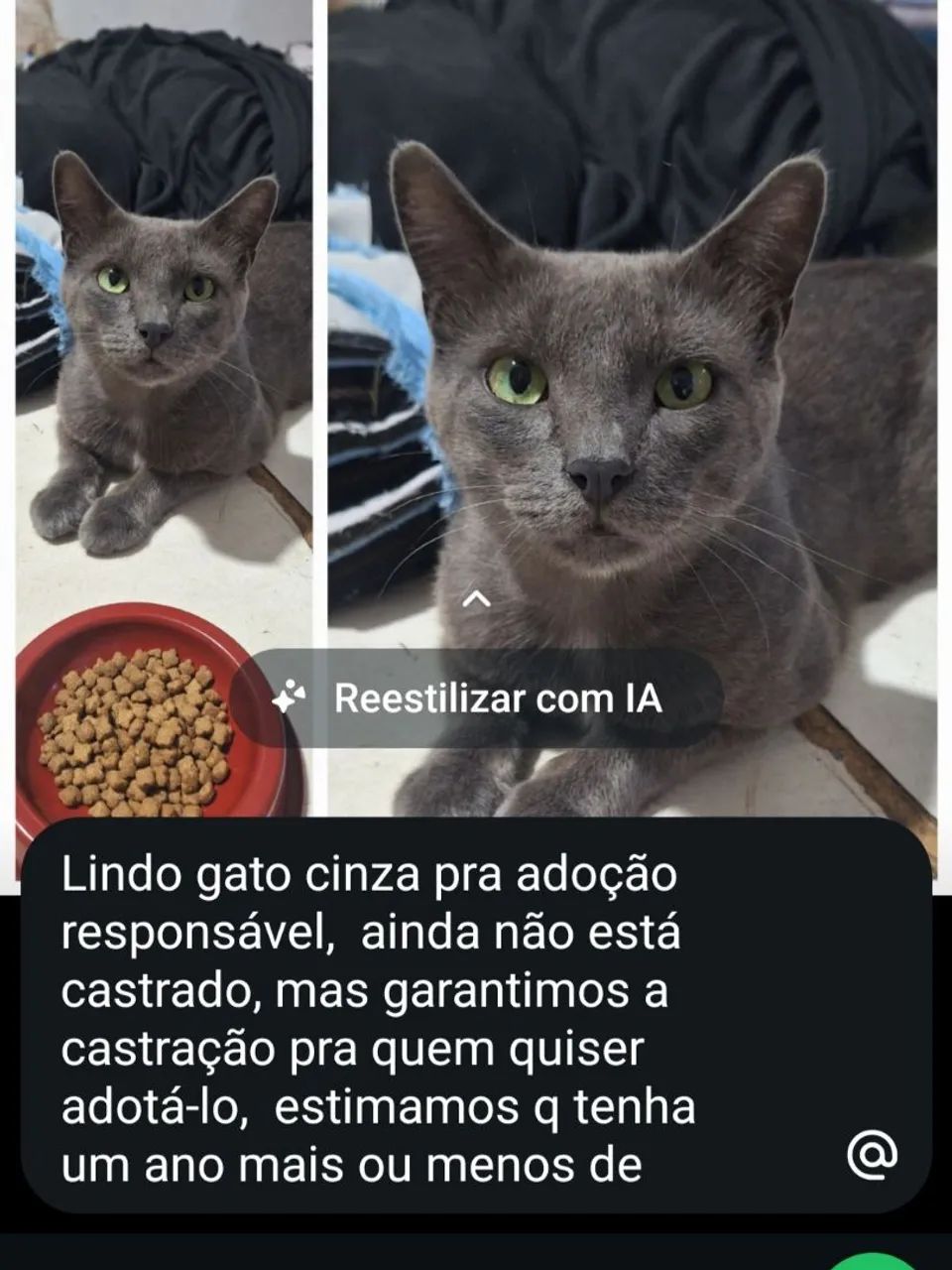 Doação 