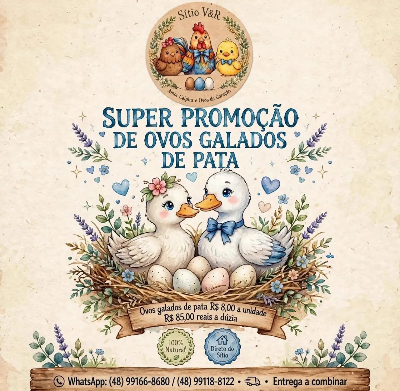 Ovos de pata galados 