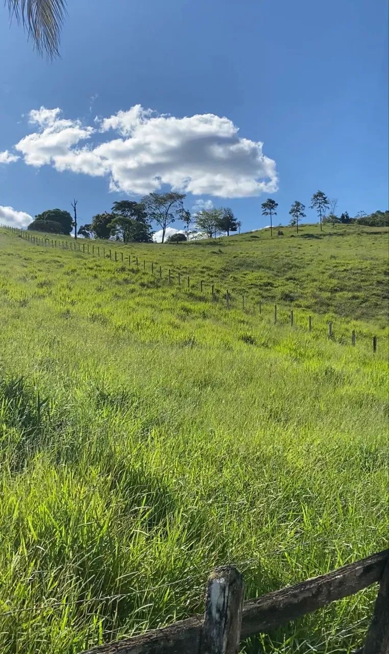 Venda - Foto 4