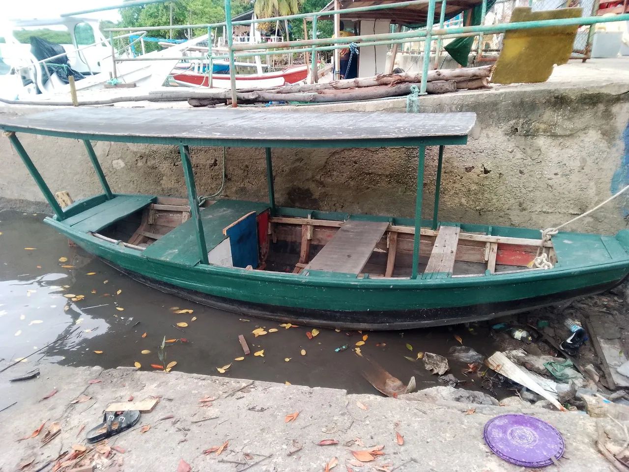 Barco motorizado 