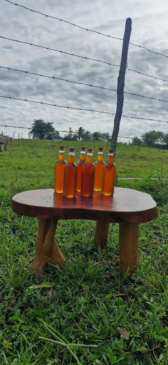 Mel de abelha puro orgânico 