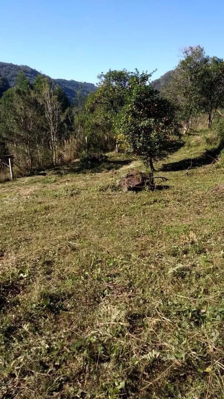 Chácara Galópolis Caxias do Sul - Foto 2