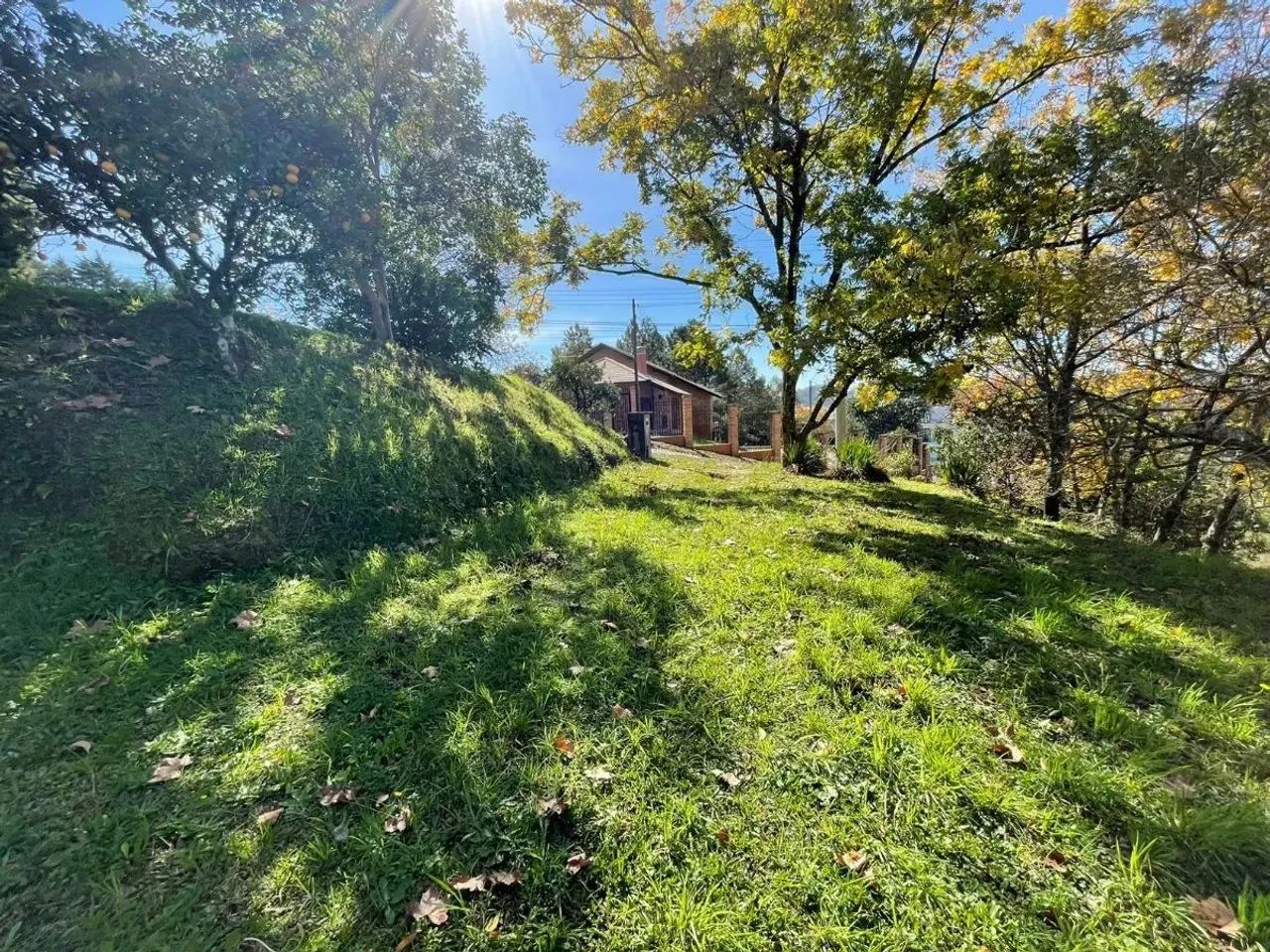 CAXIAS DO SUL - Terreno Padrão - LINHA 40 - Foto 9