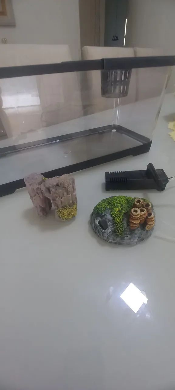 Um arquario de 25L - Foto 3
