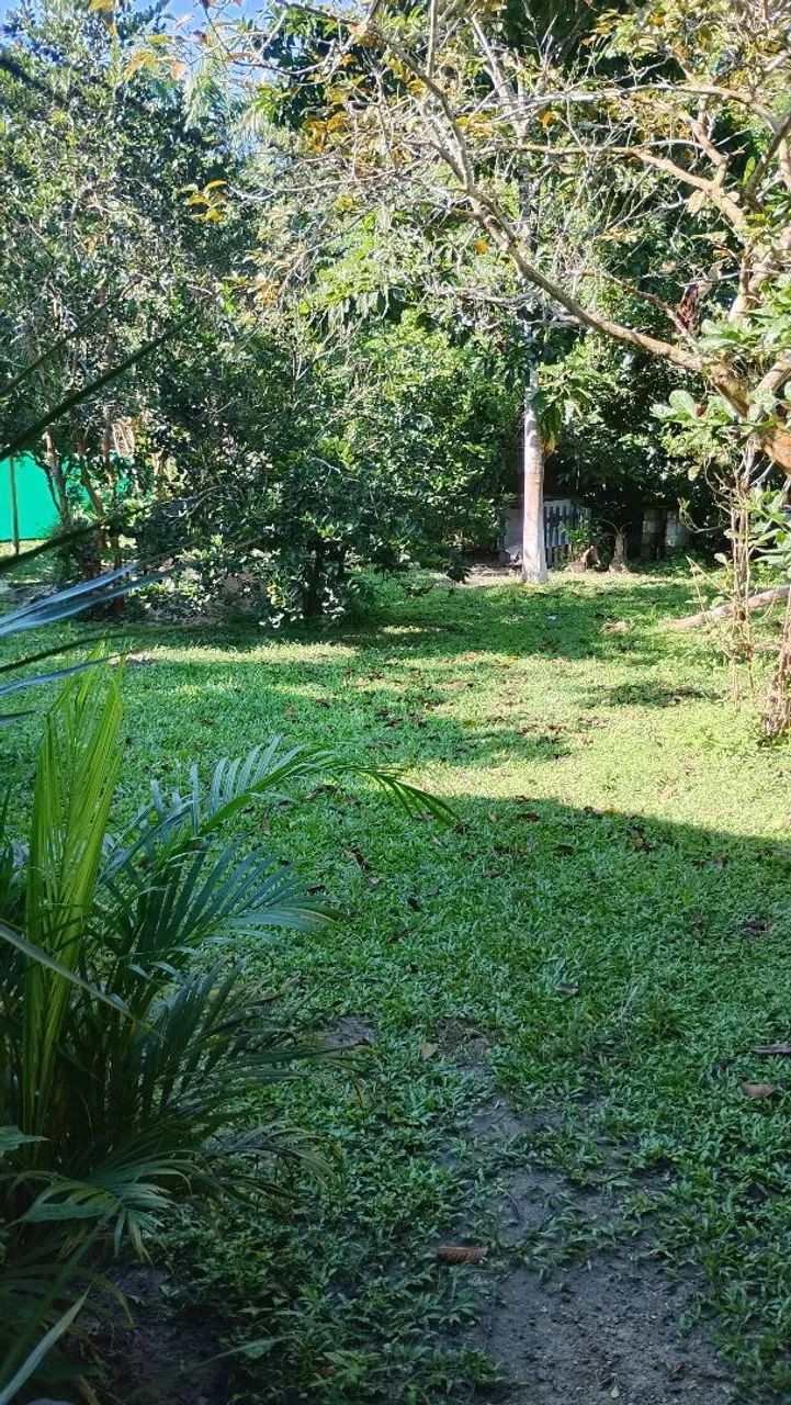 Chácara completa com árvores frutíferas parquinho e lago com tilápias  - Foto 14