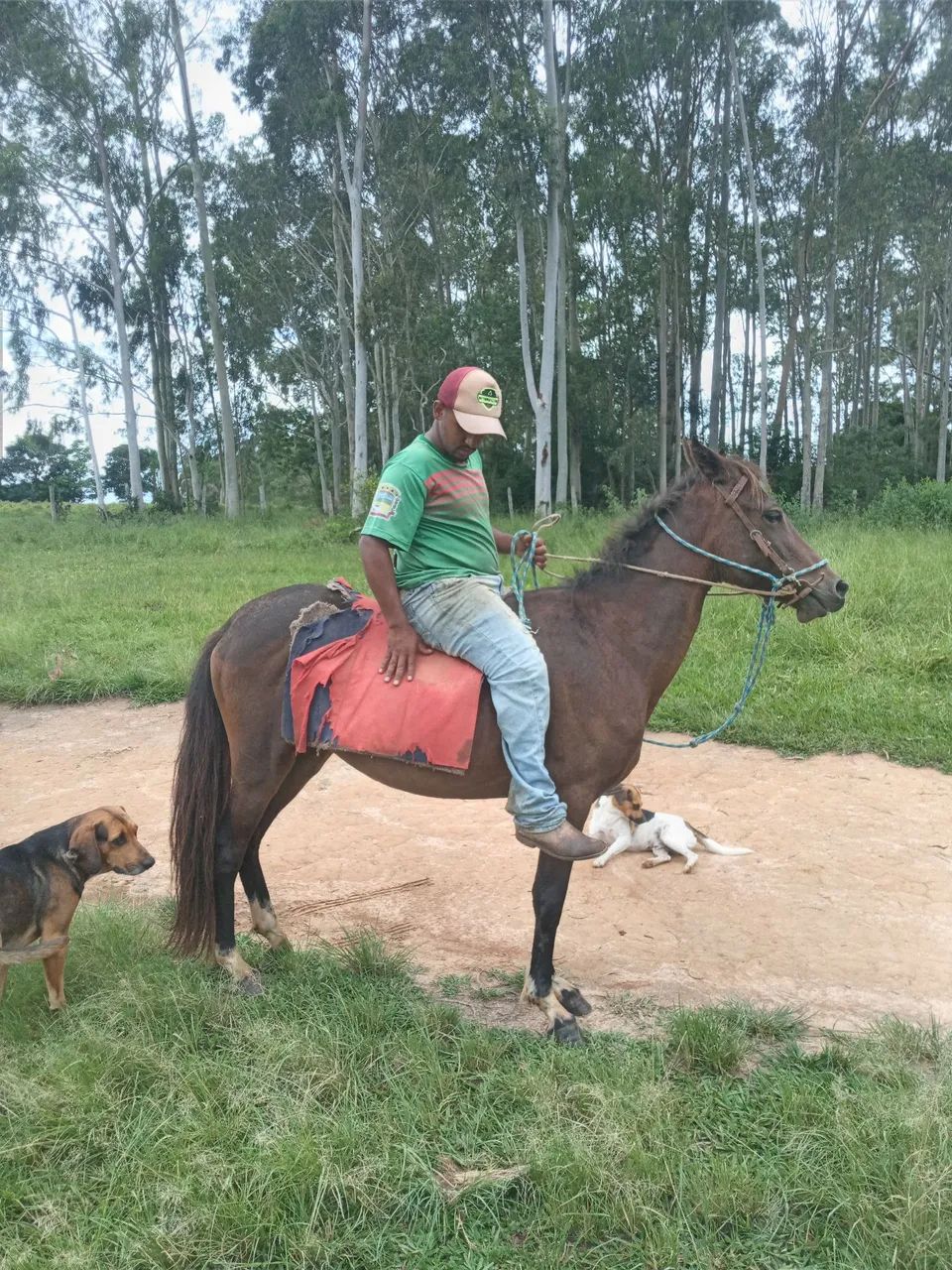 Vendo ou troco egua - Foto 5