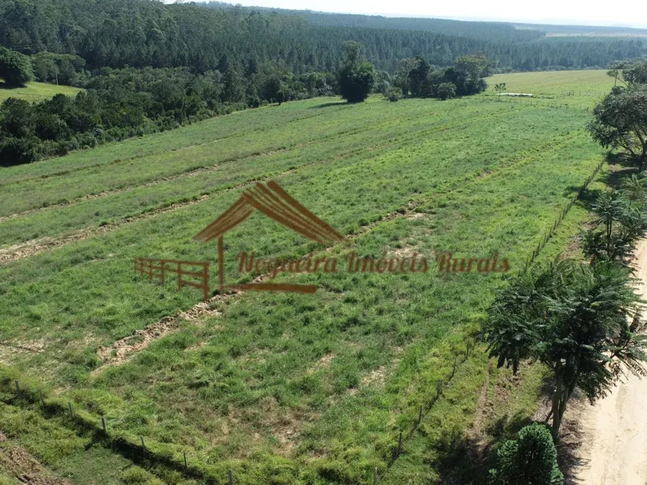 Fazenda com 53 alqueires para plantação de laranja - Foto 3