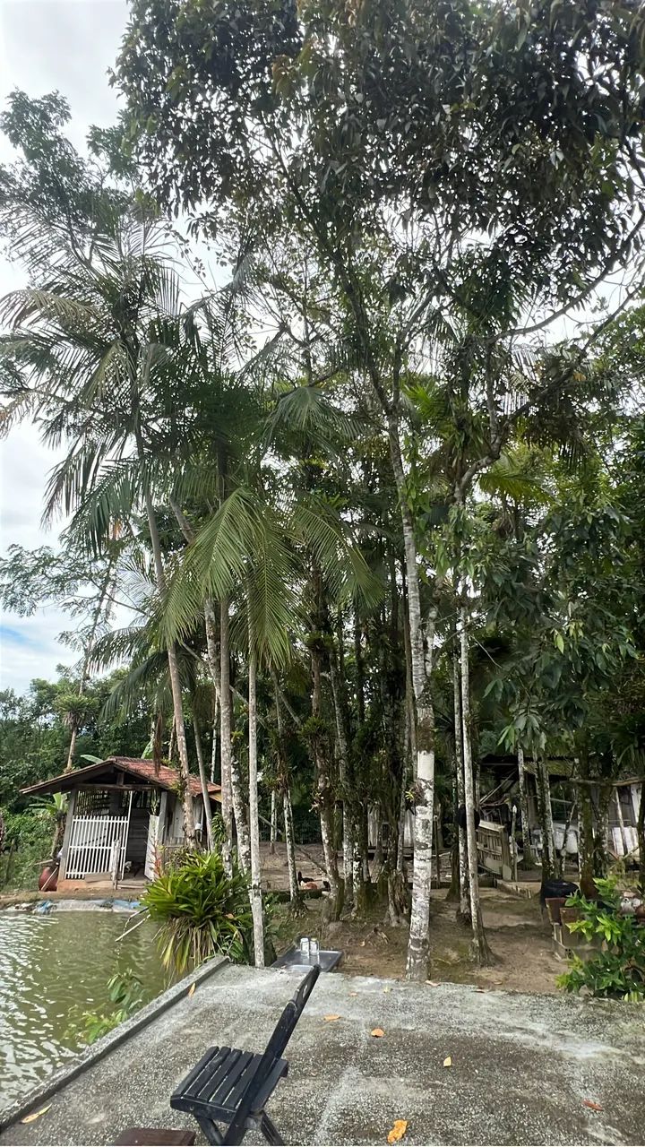 Foto - Joinville - América