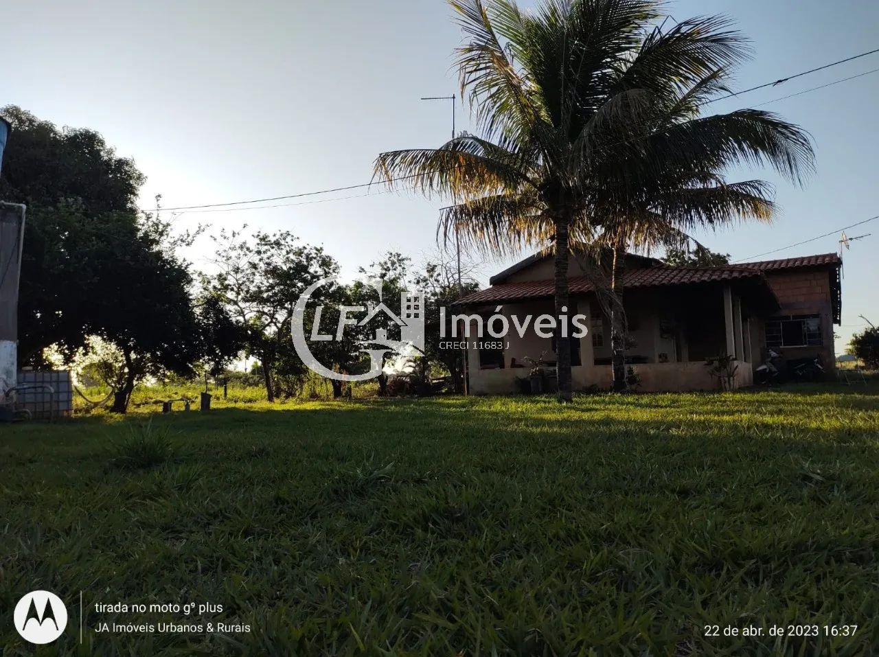 Chácara com Produção para o SEASA - Foto 4