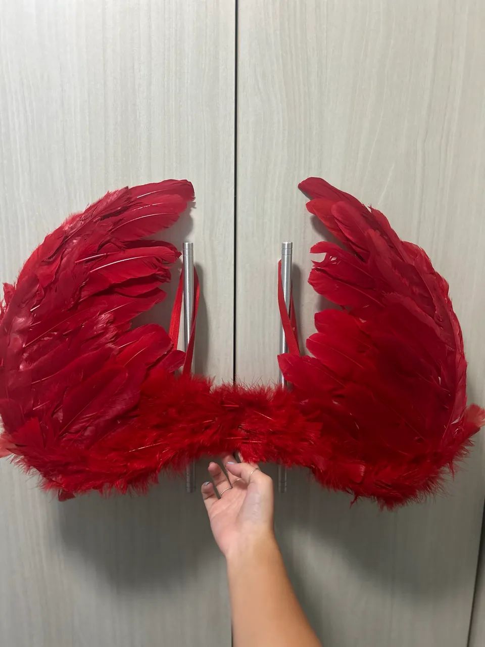 Fantasia Carnaval 