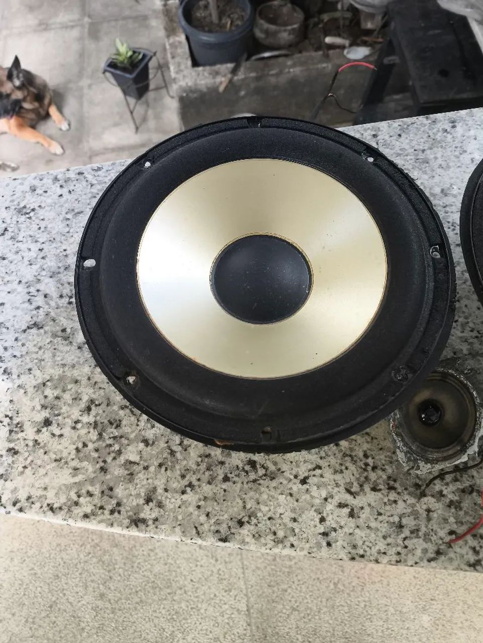 Auto falantes 10" - Foto 2