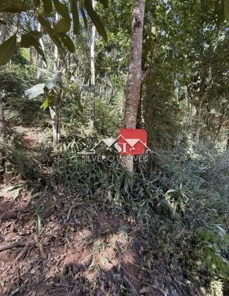 Terreno- Petrópolis, Araras - Foto 3
