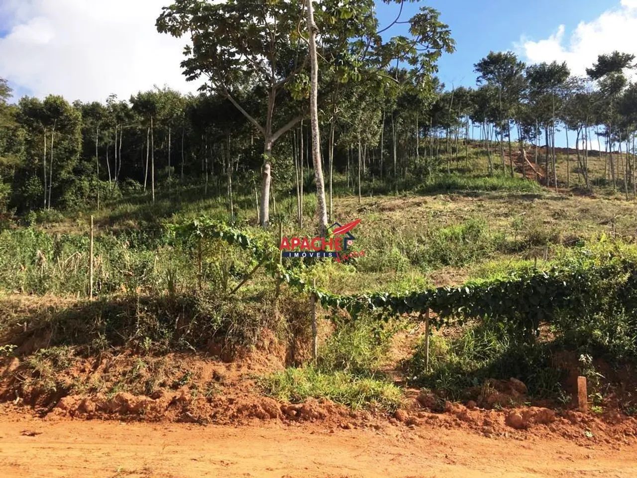 Excelente lote nos Cristais-Viçosa-MG - Foto 5