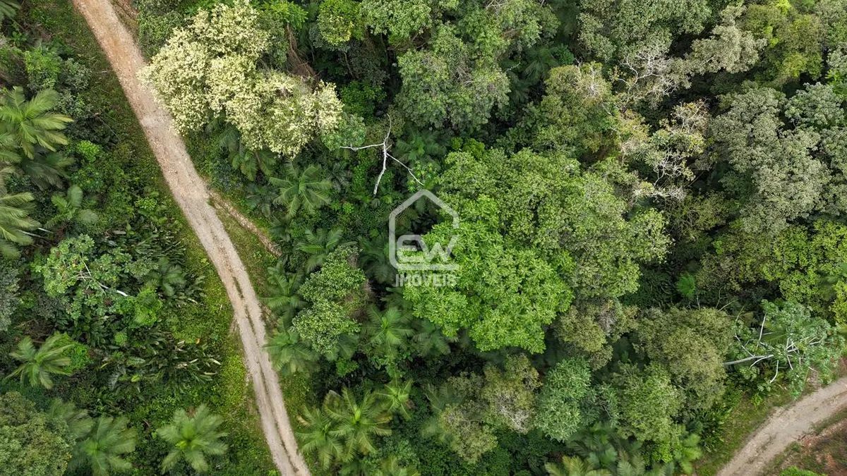 Propriedade Rural com Área Total de 170.330m² em Massaranduba, SC - Foto 5
