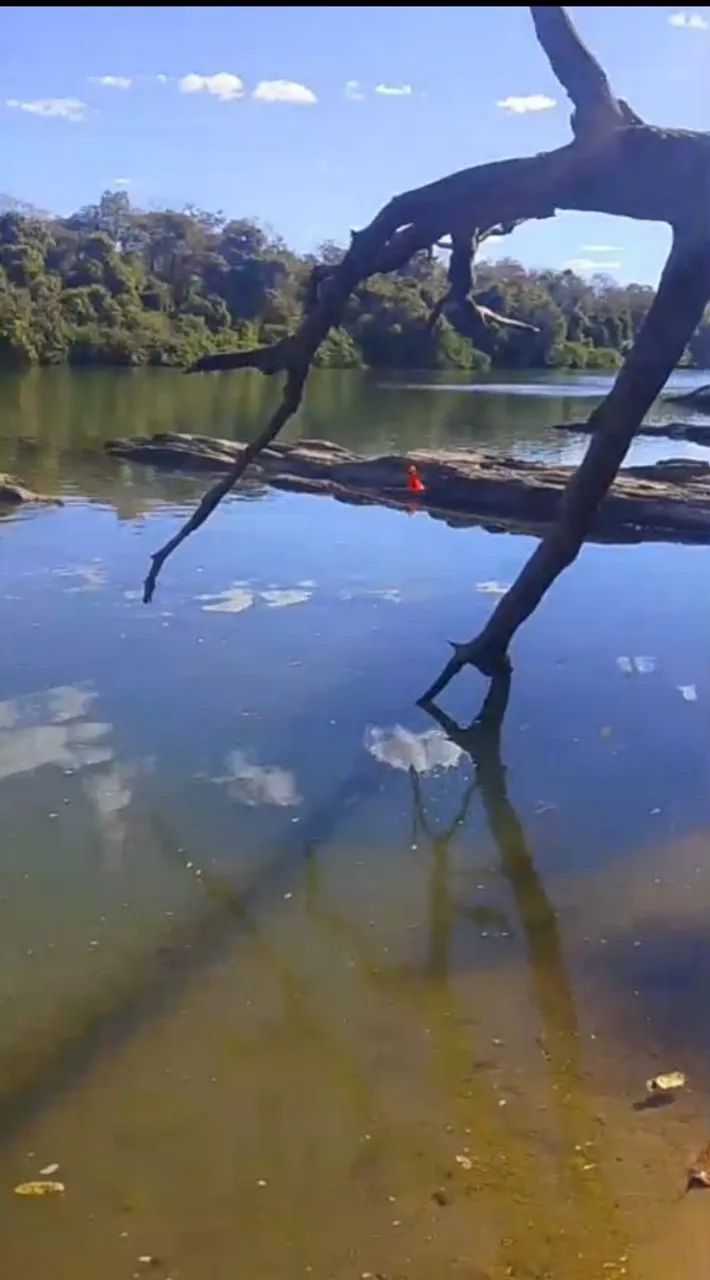 Chácara no município de chapada da natividade  - Foto 5