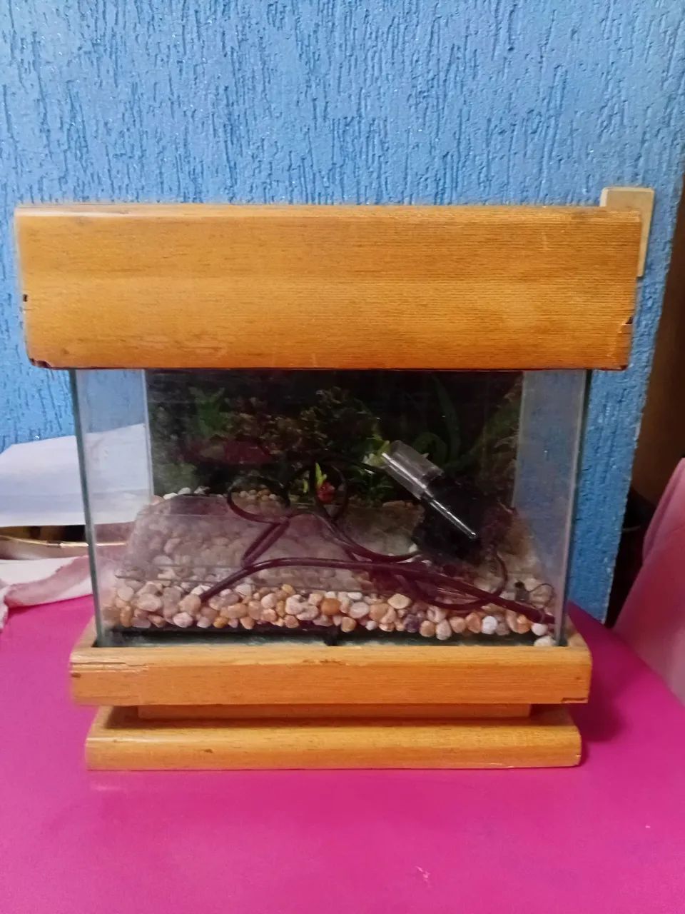 Aquário.  - Foto 2