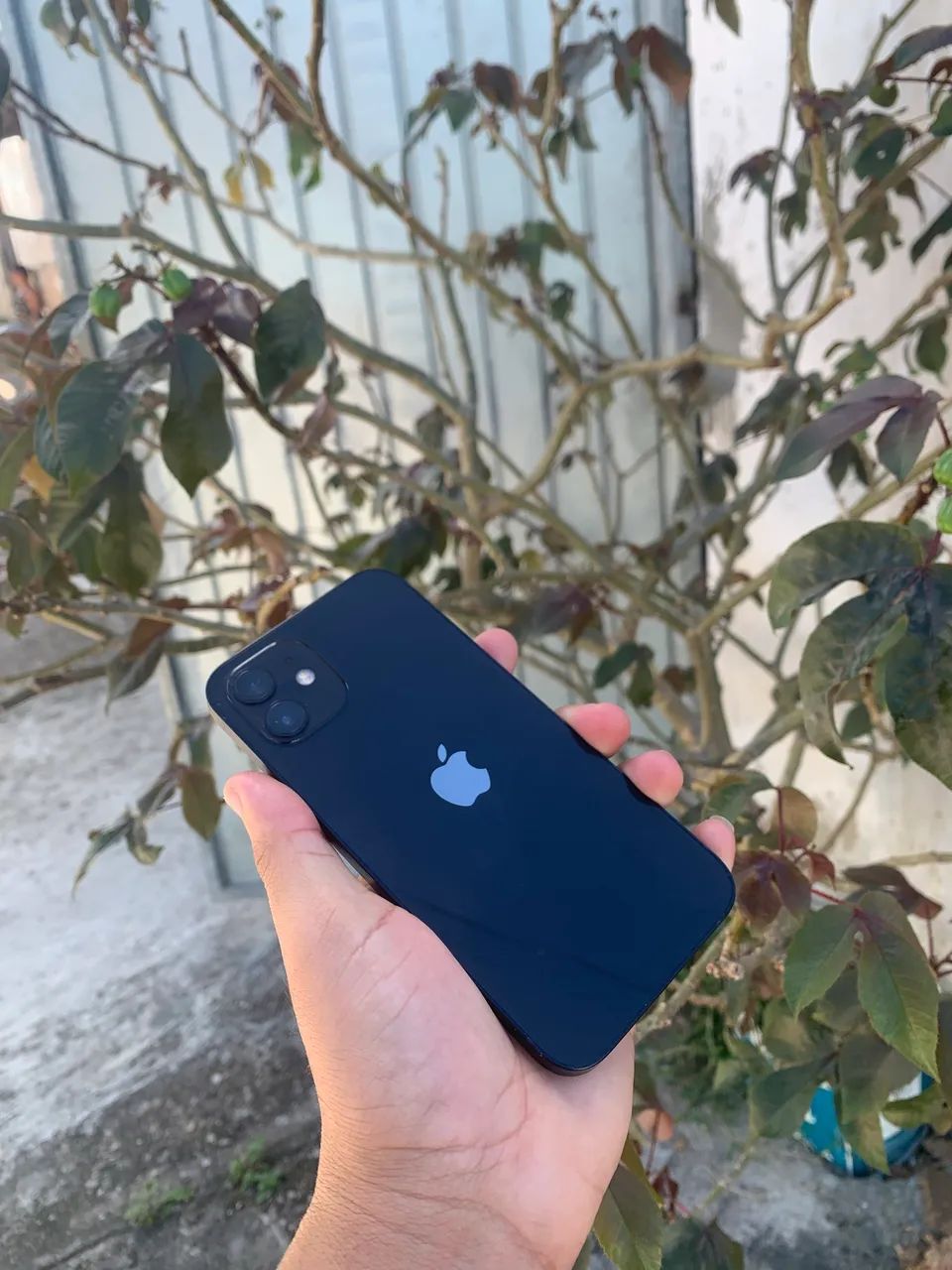 iPhone 12 todo original 128GB novíssimo! - Foto 2