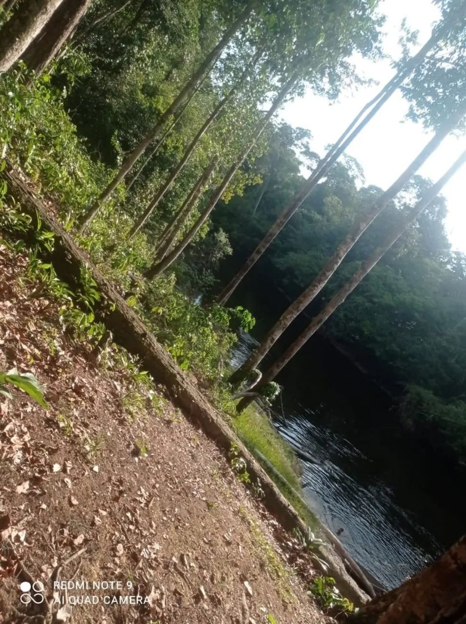 Vende-se um sítio em presidente Figueiredo  - Foto 3