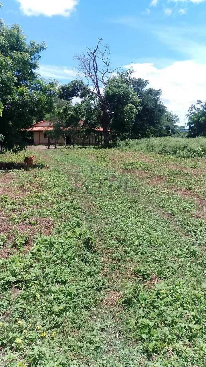 fazenda - Centro - Campo Azul - Foto 4