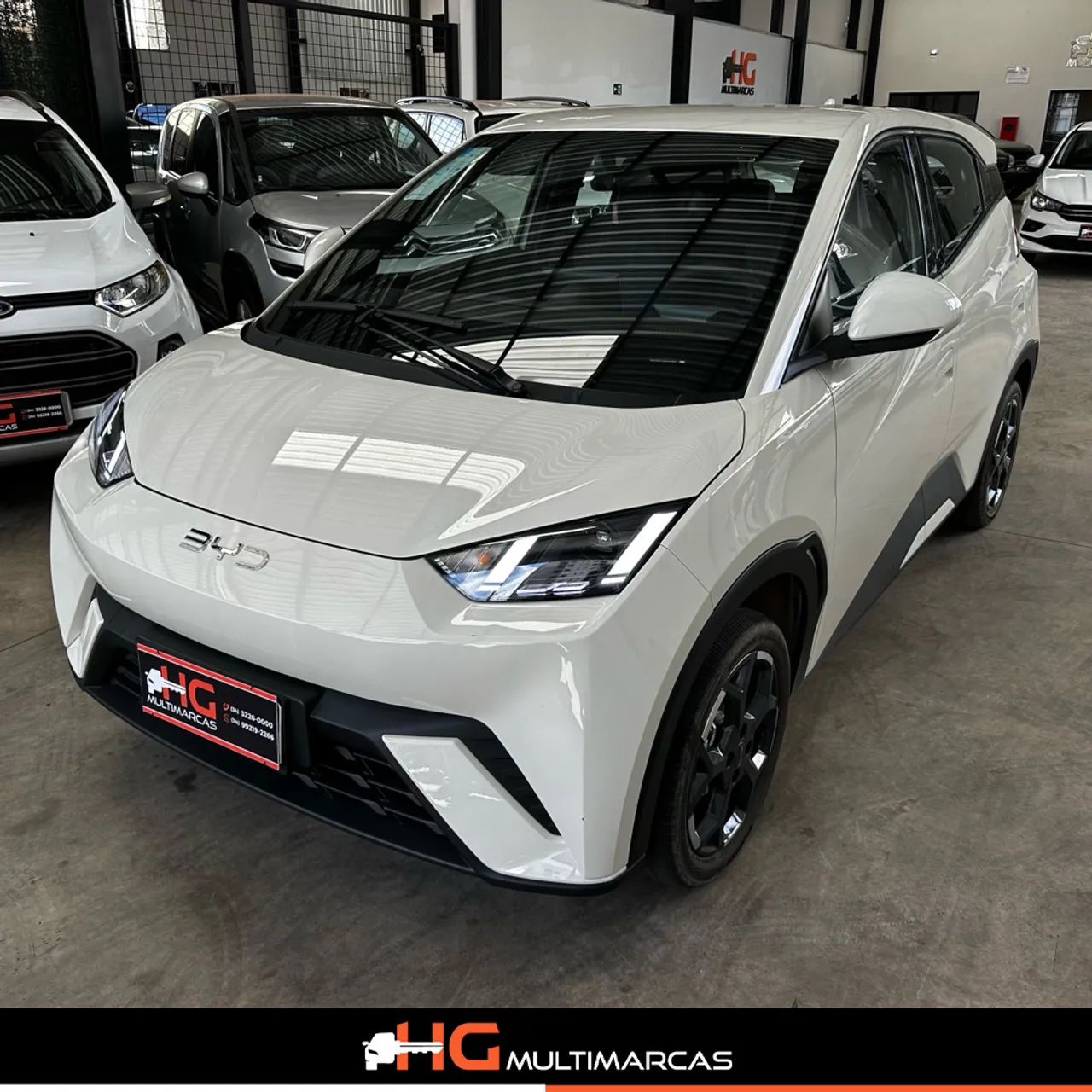 BYD Dolphin GS (Elétrico) 2026