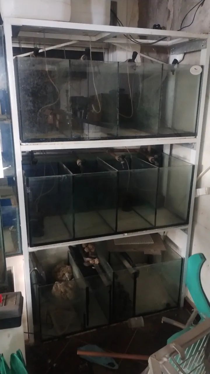 Bateria de aquários 