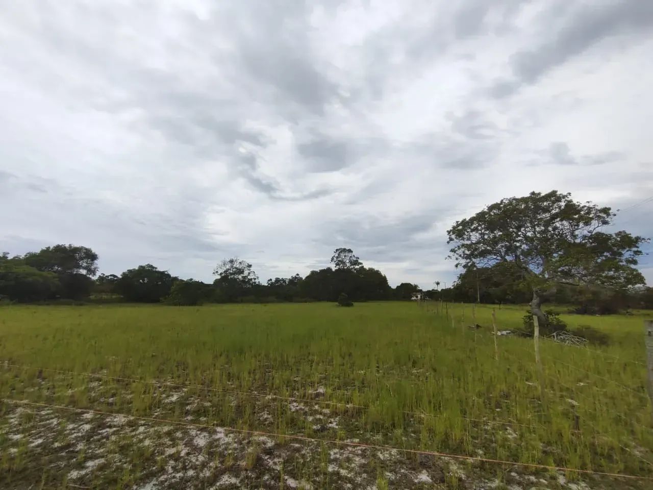 Area na Penha Quissamã com 5 Mil M2 - Foto 4