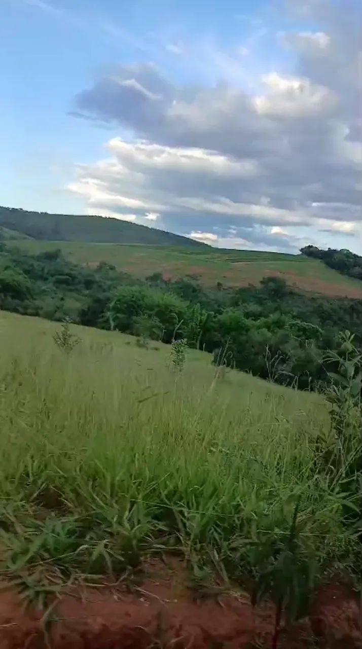 Sítio com 9 hectares a 1 km do Centro da Cidade(S. Francisco de Paula M.G) - Foto 4
