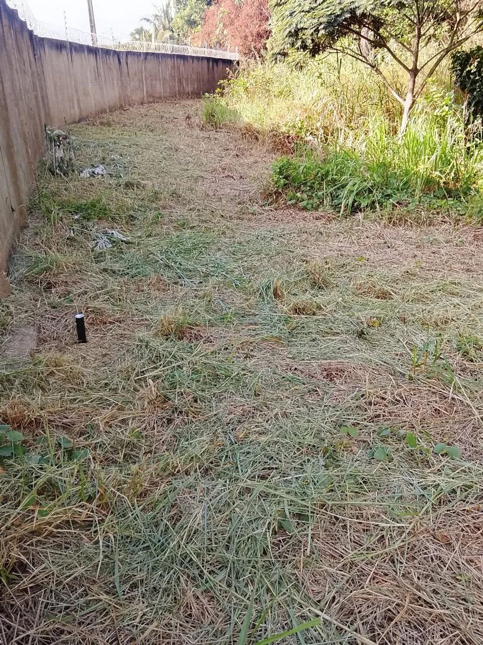 Jardinagem em geral - Foto 2