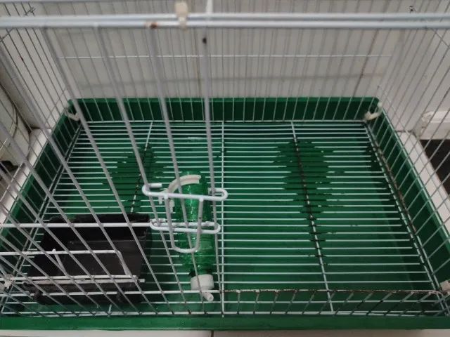 Gaiola para coelho grande - Foto 6