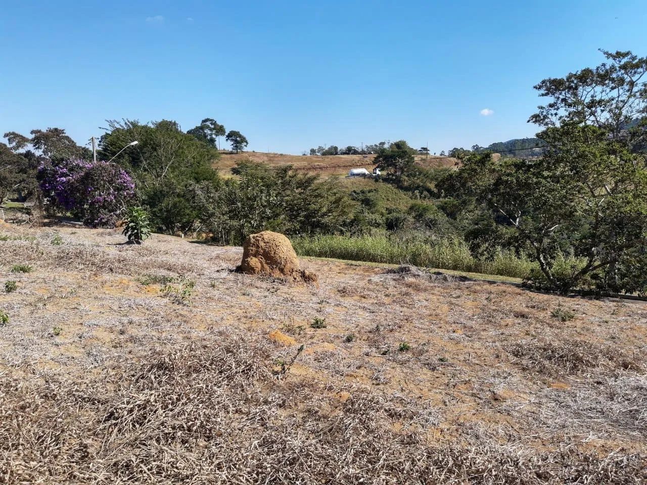 Lote / Terreno - Salvaterra - Foto 4