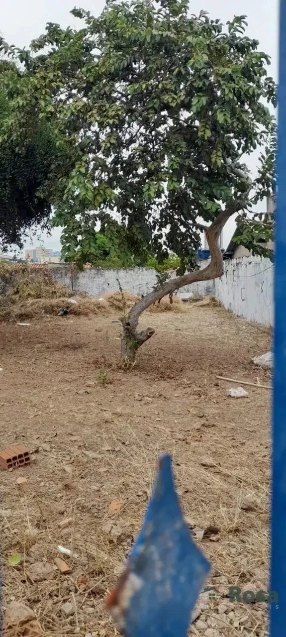 Terreno para venda, Areão, Cuiabá - Foto 5