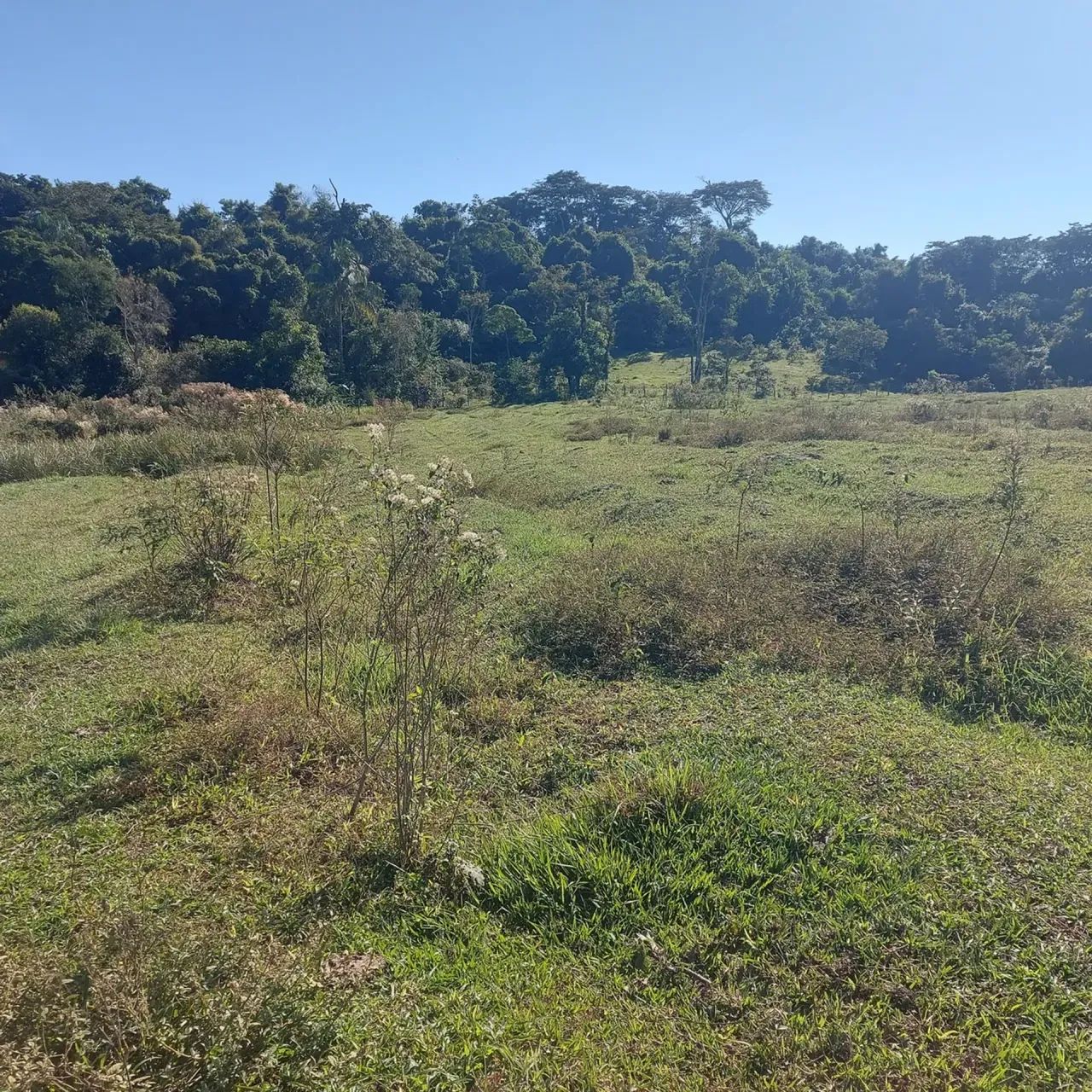 OPORTUNIDADE!!! ZONA RURAL!!! - Foto 5