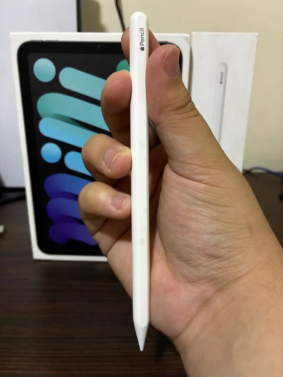 iPad Mini 6º geração 64GB + Apple Pencil - Tablets e E-Readers