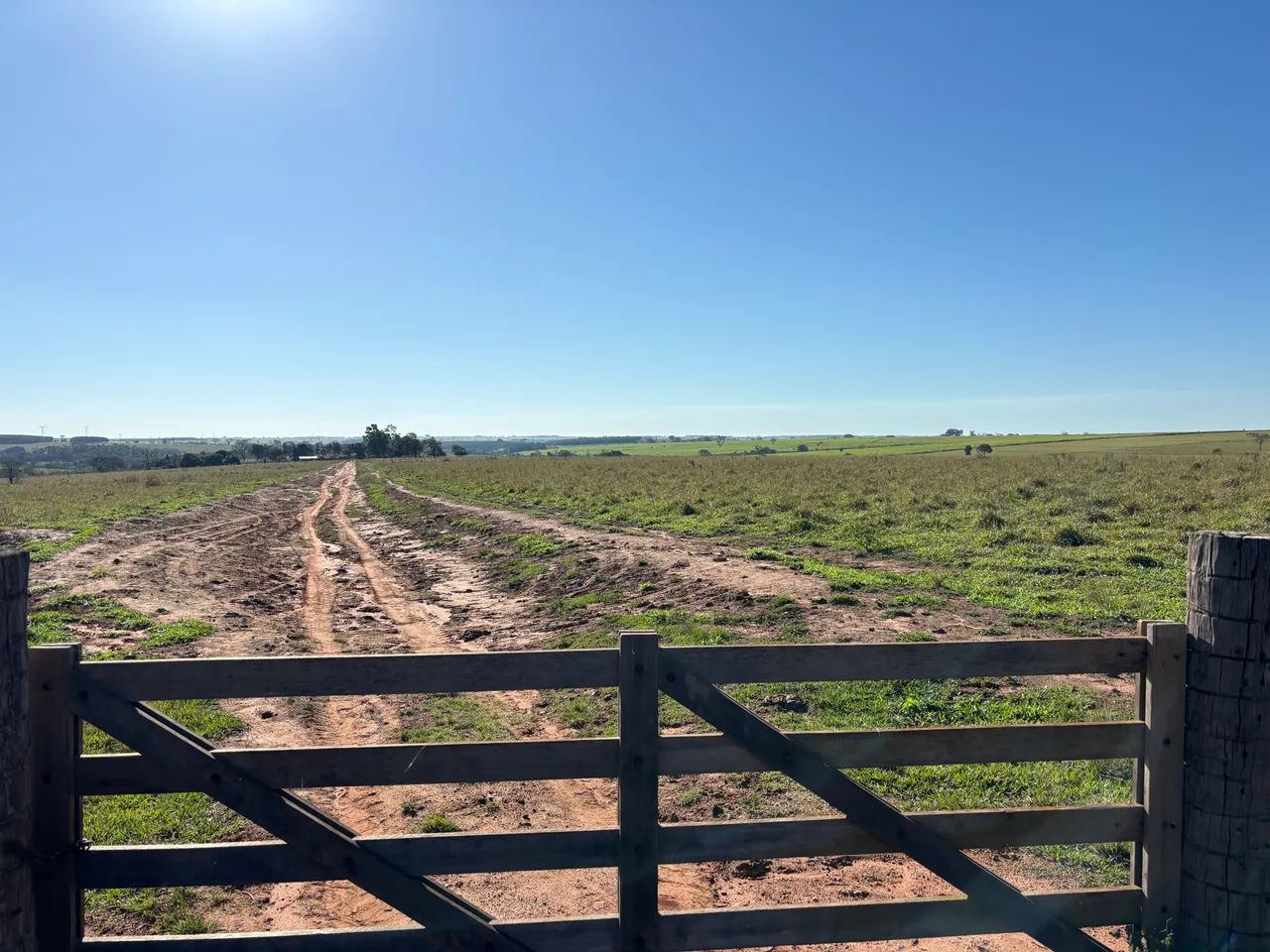 Fazenda - Foto 5