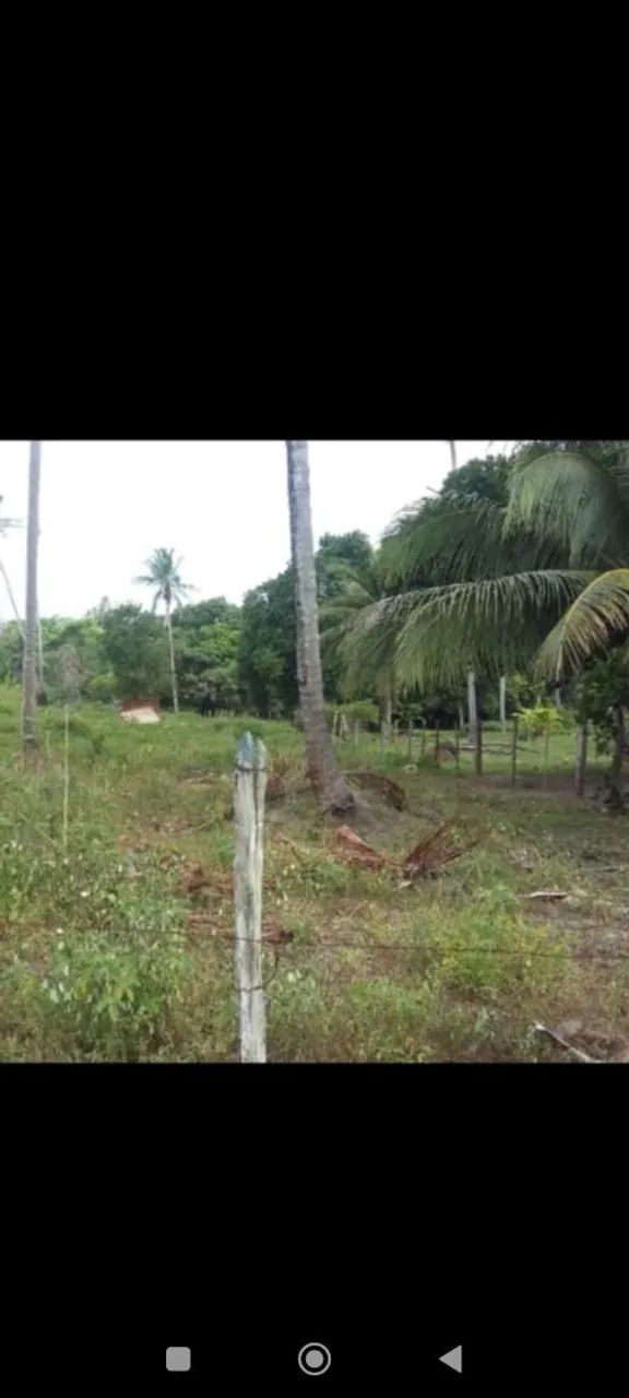 Ótimos lotes próximos a praia - Foto 2