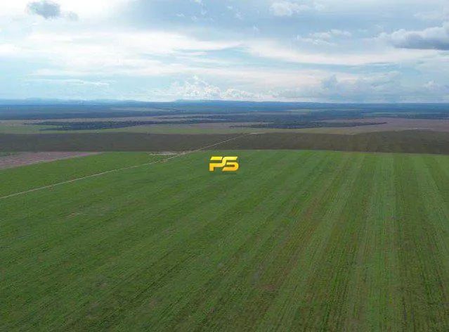 Fazenda 1.4 ha em Tupiratins à Venda REF: PS6181 - Foto 4