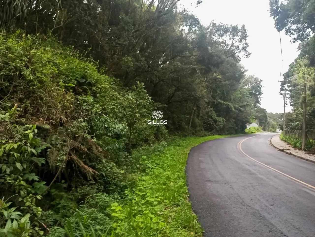Terreno com 66.589 m² de área total à venda no bairro Ferraria em Campo Largo/PR - Foto 7