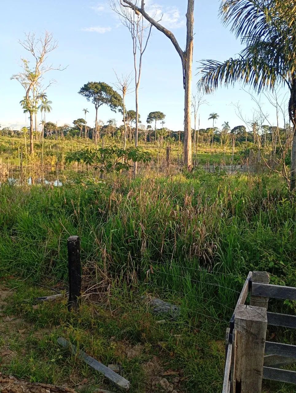 Vendo esta terra - Foto 2