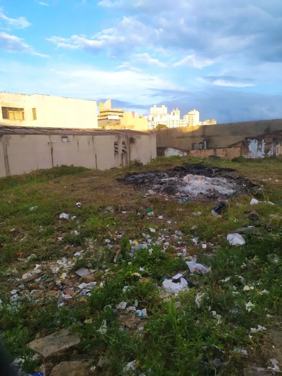 Terreno / Área Bairro Lagoinha - Foto 5