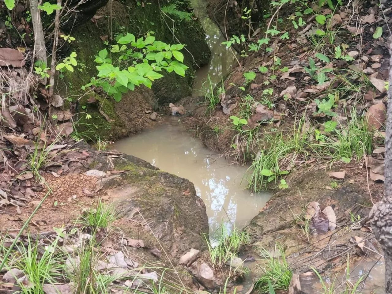 Fazenda para Venda em Aurora do Tocantins, Zona Rural - Foto 5