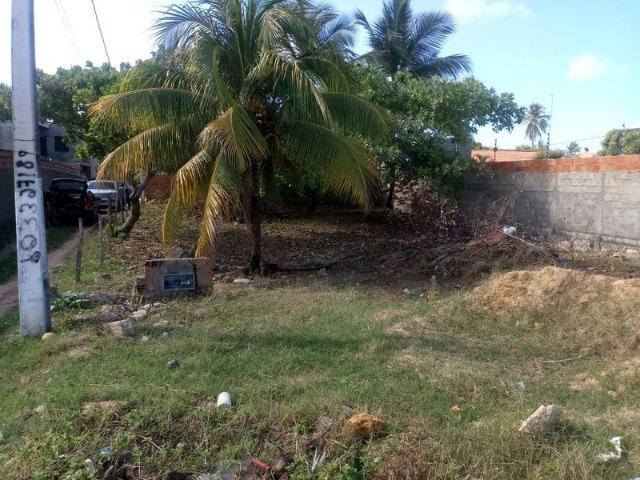 Terreno na rodovia Airton Senna- Mosqueiro - Foto 3